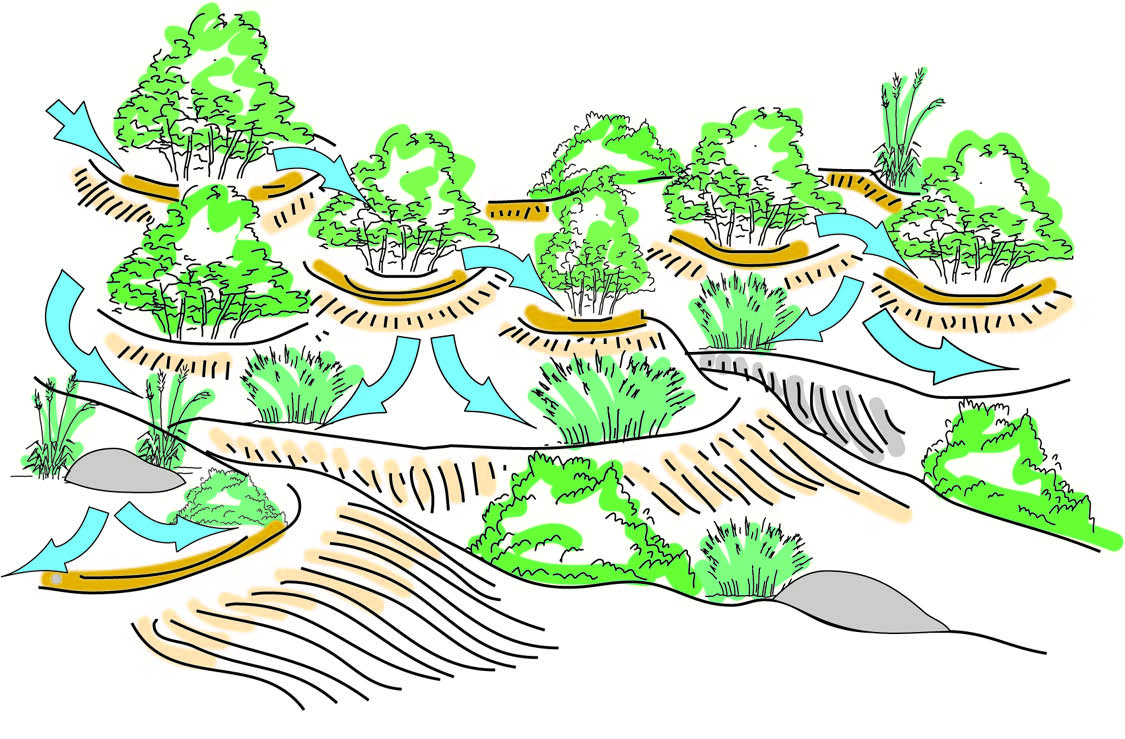 soil erosion drawing