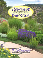 Harvest The Rain Book Cover