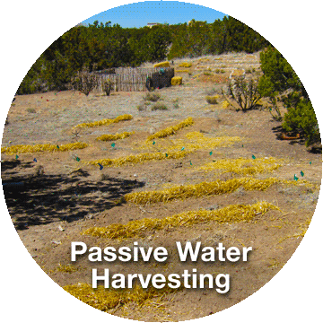 Passive Water Harvesting