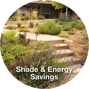 Shade and Energy Savings