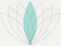 PermaDesign Services and Products